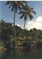 Indian River